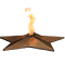 Боевая слава icon